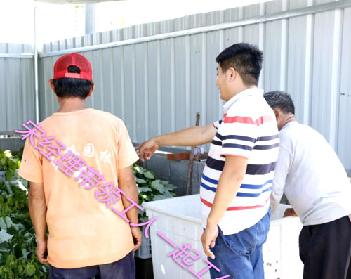 夏日來臨，當你吹空調喊熱的時候，讓我?guī)阋黄鹱哌M東楓園林體驗一下東楓人高溫下工作不一樣的夏日風采