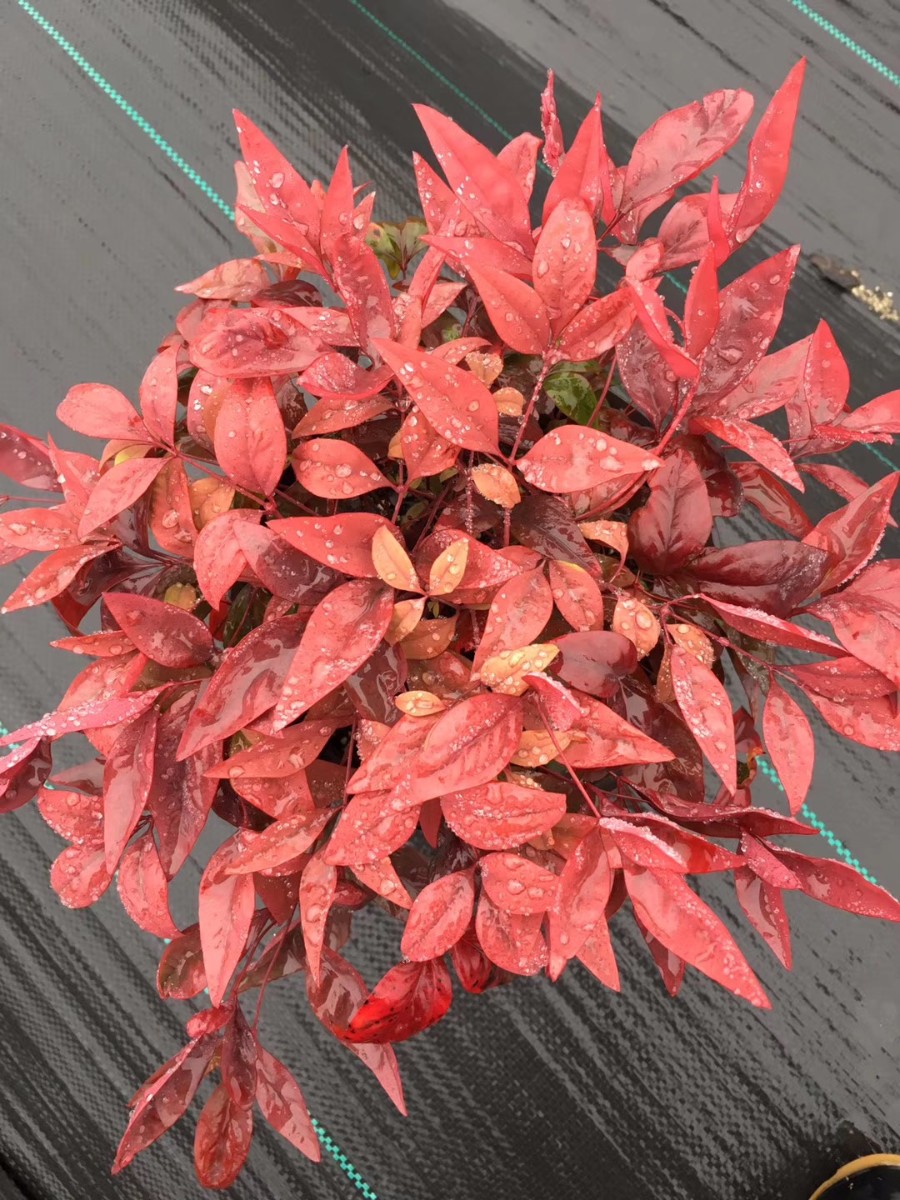 關(guān)于品質(zhì)，我們“用圖”說話