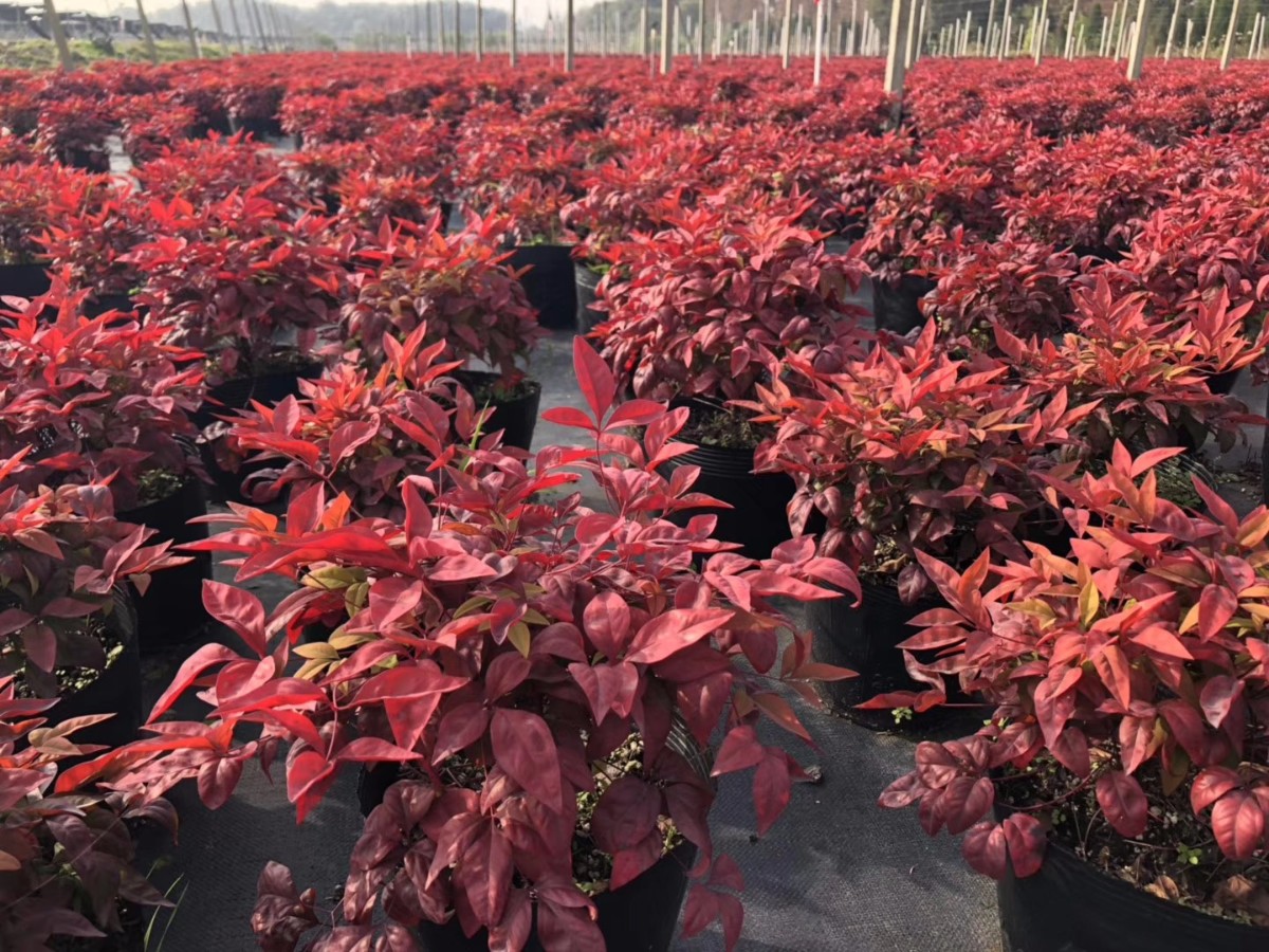 關(guān)于品質(zhì)，我們“用圖”說話