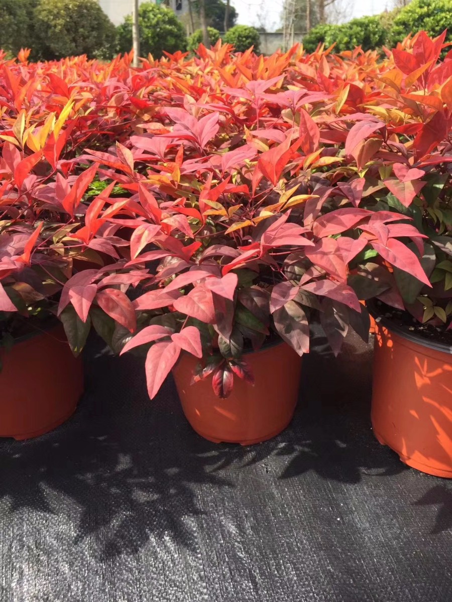 關(guān)于品質(zhì)，我們“用圖”說話